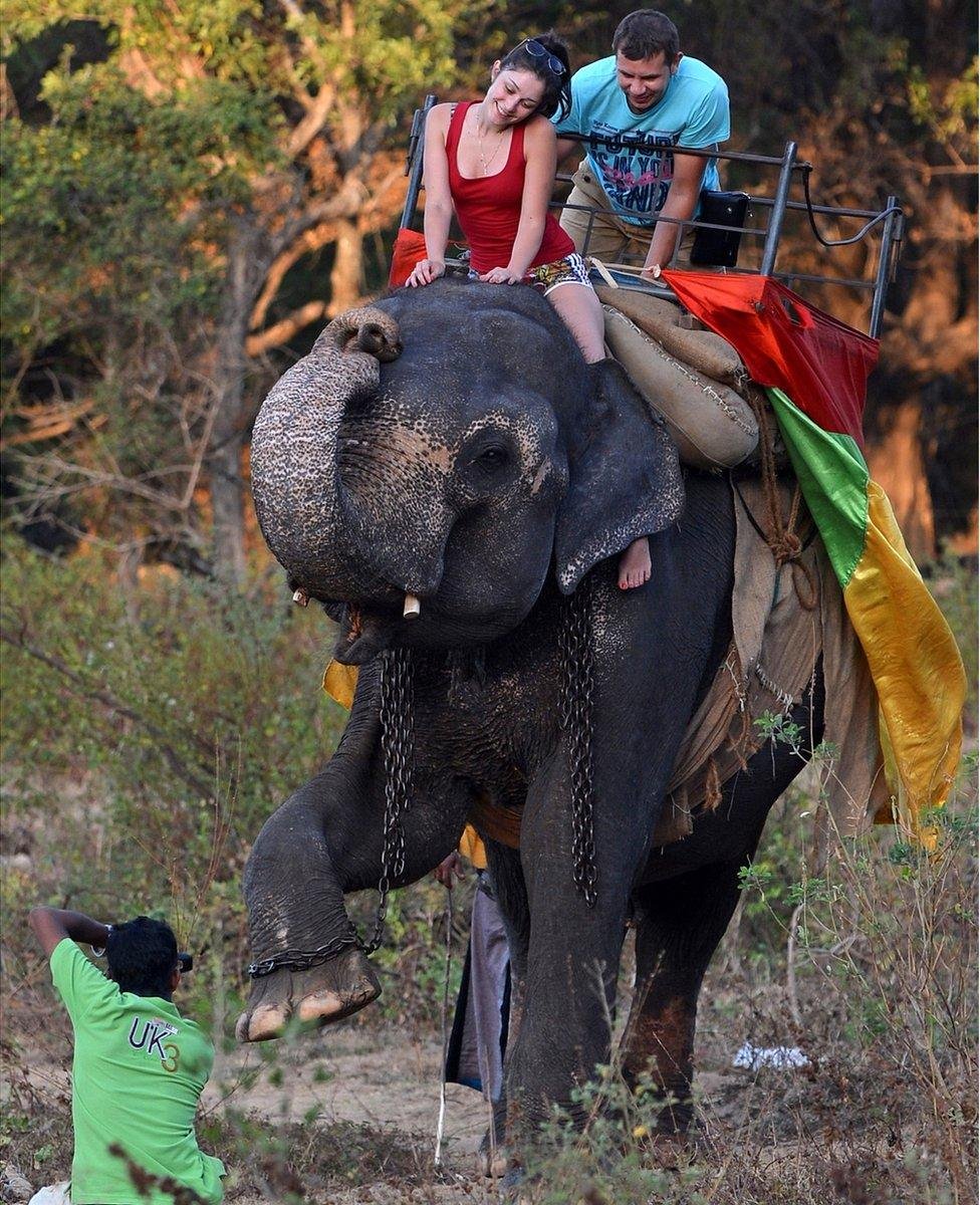 Elephant Riding